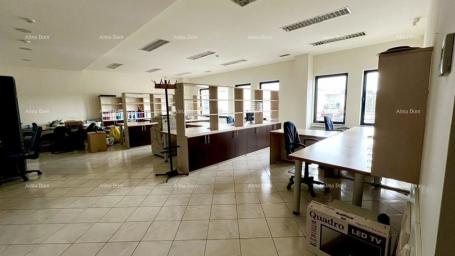 Geschäftsraum BUJE – LAGER-/BÜROFLÄCHE ZU VERKAUFEN | GESCHÄFTSZONE