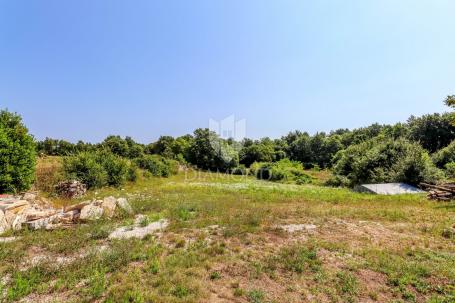 Kanfanar, okolica, pravilno zemljište za novi dom iz snova