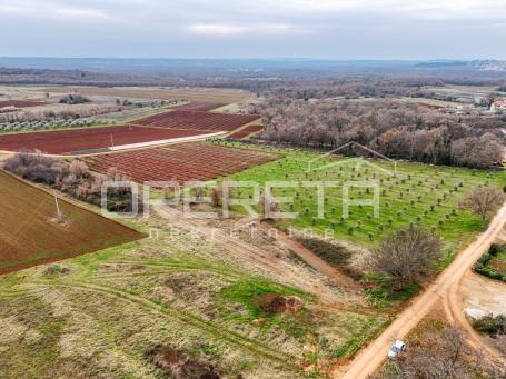 ISTRA, KAŠTELIR - Poljoprivredno zemljište s pogledom na more uz samu granicu ur