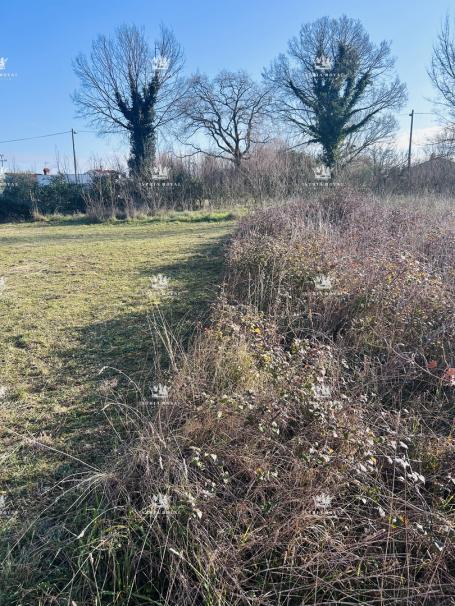 Istra , okolica Lovrečica , gradjevinska parcela 390m2