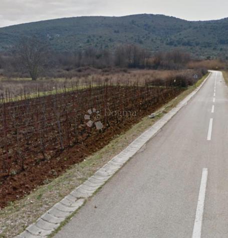 Barotul , otok Pašman