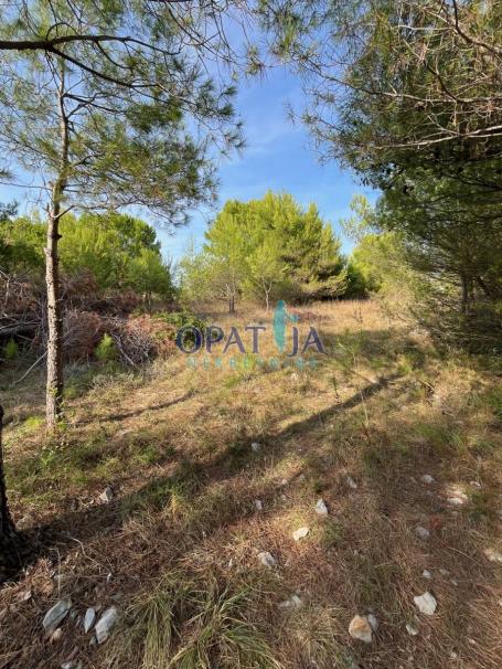 Vir, zemljište 739m² u građevinskom području, 150 m od mora