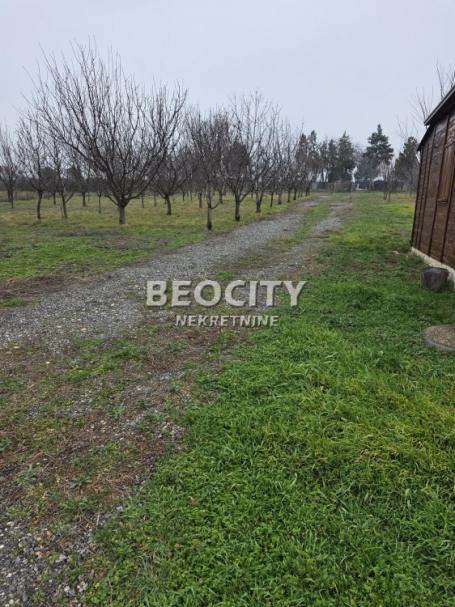 Čukarica, Ostružnica, Ane Krasojević, 43a, 75000EUR