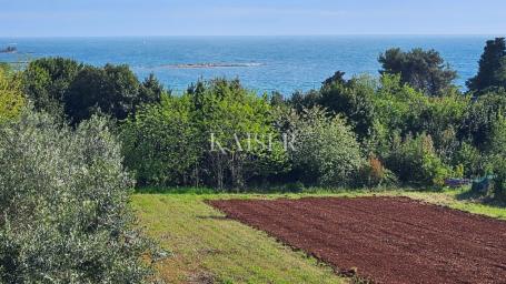 Umag, Zambratija, građevinsko zemljište blizu mora