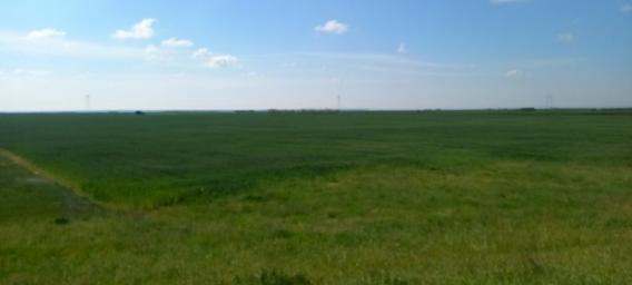 Ekskluzivna prodaja, poljoprivredno zemljište 62. 434m2 -Zrenjaninski put -Žabalj