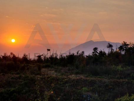 Dobro Polje - Boljevac  Dve parcele, poljporivrednog i sumskog  zemljista povrsine 23105m2