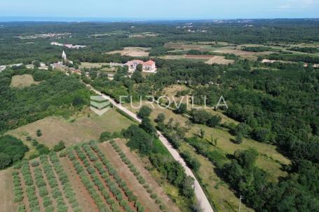 Istra, Višnjan, poljoprivredna parcela 8250 m², prekrasna lokacija