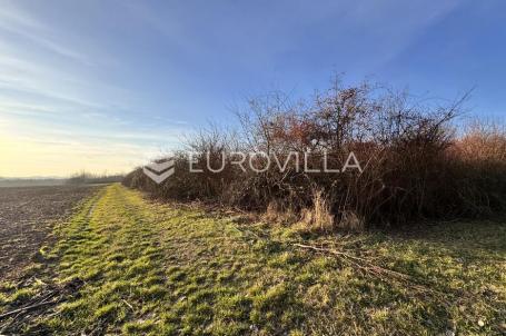 Piškorevci, voćnjak 17541 m²