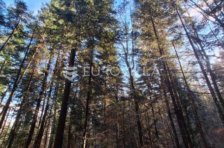 Vrbovsko, Lukovdol, poljoprivredno zemljište 31000 m², mogućnost gradnje