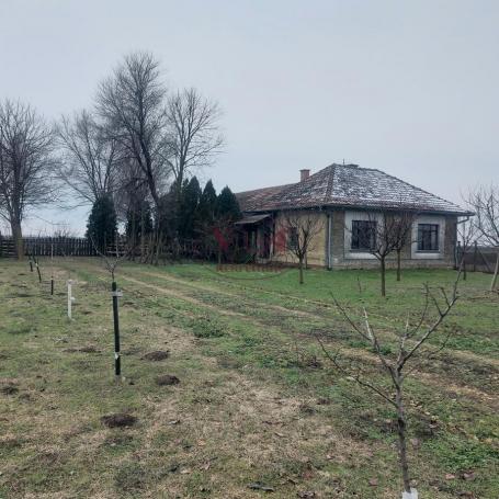 Srbobran - Bečej, Salaš sa izlazom na Beljansku baru i 6.9 kJ poljoprivrednog zemljišta