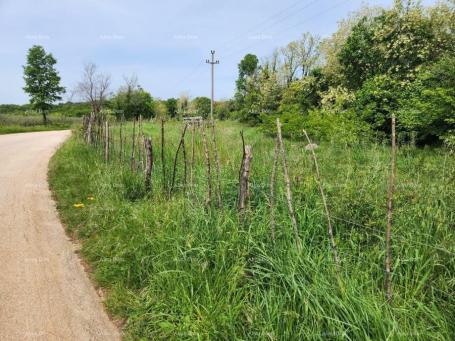 Građevinsko zemljište POREČ - Prodaje se građevinsko zemljište, 12000m2