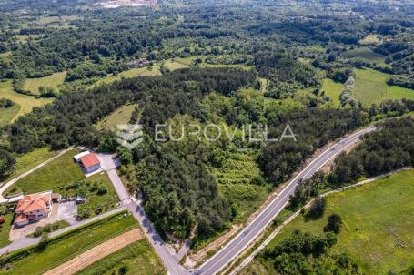 Istra, Grašćišće, jedinstveno građevinsko zemljište 2000 m² okruženo stoljetnom šumom 36789 m²