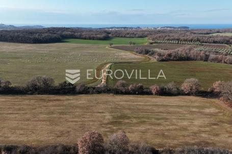 Istra, Poreč, poljoprivredno zemljište 14.824 m²
