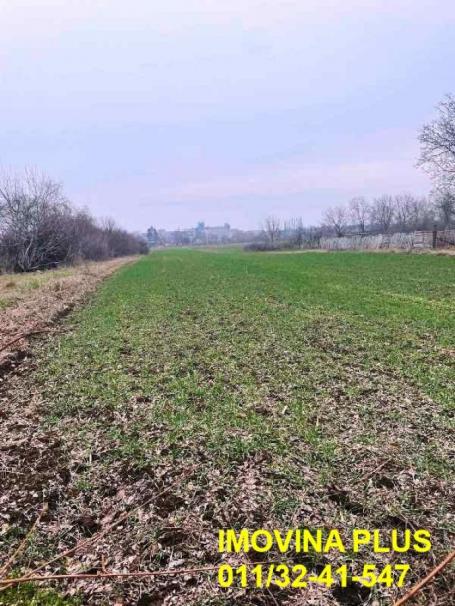 Obrenovac, Urovci - poljoprivredno zemljište