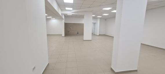 VOZDOVAC DUSANOVAC 320m2 , 320 ,3000e