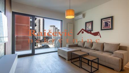 SAVSKI VENAC BEOGRAD NA VODI 54m2 , T ,310000e
