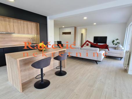 SAVSKI VENAC DEDINJE 220m2 , T ,950000e