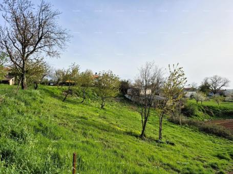 Građevinsko zemljište Građevinsko zemljište 1.730 m² –  Barban