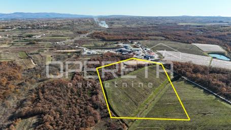 Posedarje – gospodarsko zemljište 25.000 m² uz magistralu, top lokacija