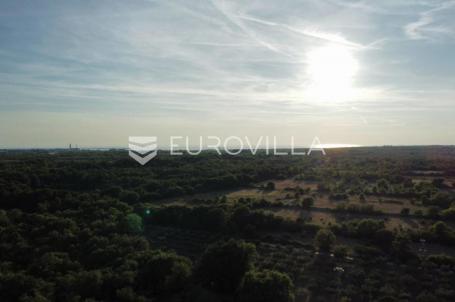 Istra, Vodnjan, kombinacija građevinskog i poljoprivrednog zemljišta sa šumom, rijetkost na tržištu