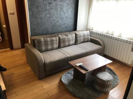 ODLIČAN JEDNOIPOSOBAN STAN U CENTRU GRADA, ULICA NJEGOŠEVA, USELJIV OD 01.04. 