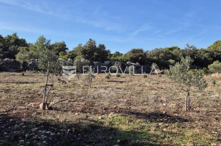 Šolta, Gornje Selo, poljoprivredno zemljište s maslinikom površine 2.653 m²