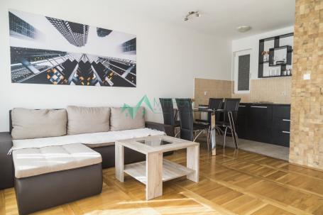 Izdavanje, Stan, 43m2 , Detelinara