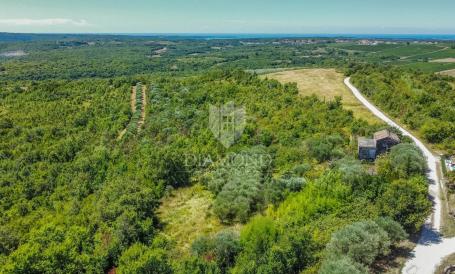 Buje, Krasica, zemljište 2.000 m² sa otvorenim pogledom i projektom!
