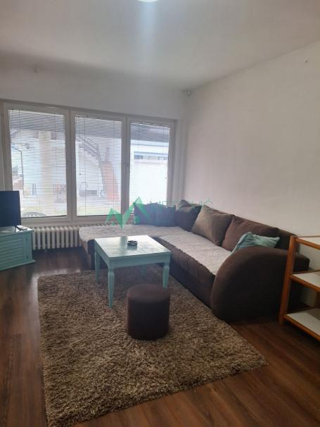 Izdavanje, Stan, 60m2 , Veternik