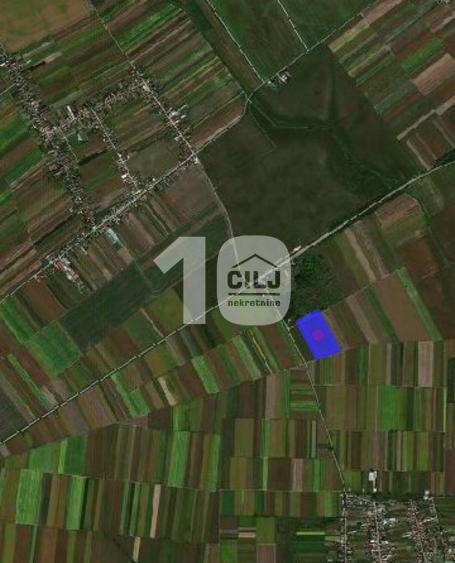 Poljoprivredno zemljište 645,68 ari ID#1589