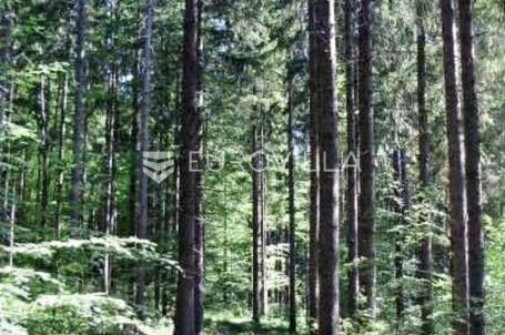 Ravna Gora, poljoprivredno zemljište 3496 m², pogodno za eksploataciju šume