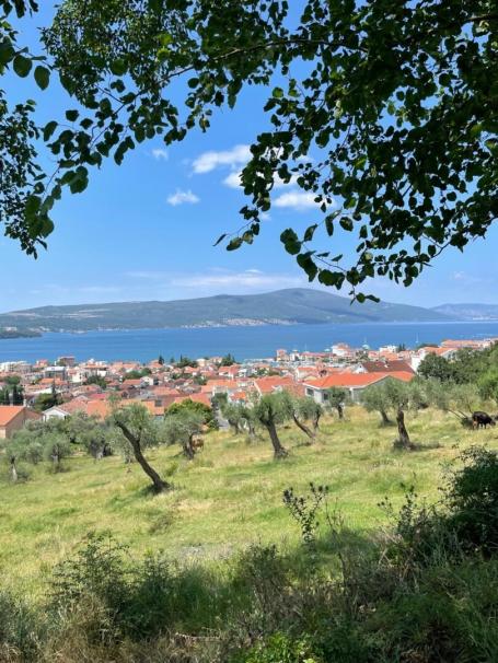 Prodaja, Plac, 1179m2 , Tivat