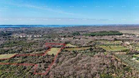 Poljoprivredno zemljište GALIŽANA - Prodaje se veliko poljoprivredno zemljište – 20.498 m², odlična 