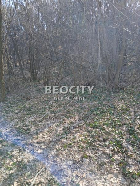 Novi Sad, Popovica, Artiljevo, 11a, 40000EUR
