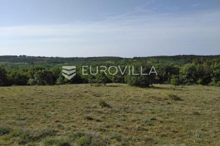 Istra, Višnjan, poljoprivredno zemljište s pogledom na more 38.360 m², prilika