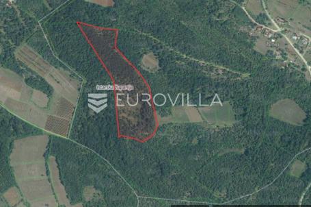 Istra, okolica Višnjana, poljoprivredno zemljište 44600 m² s puno potencijala