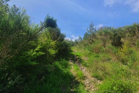 Urbanized plot with sea view URGENTLY! - price 155'000 euros