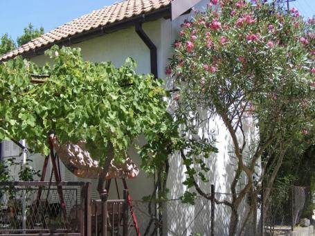 Two legal houses in Shushan
