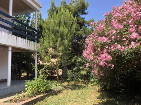 Charming house with a beautiful garden in Dobra Voda