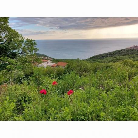 Land plot with sea view, Blizikuce (Tudorovici)