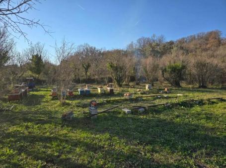 Plot for sale 664 m² - Velikiy Piesak, Dubrava district