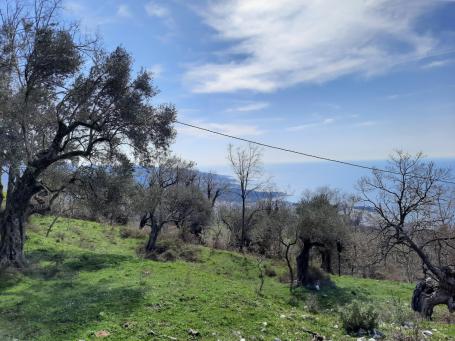 Spacious plot with stunning views in Dobra Voda, Bar