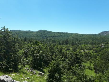 Large plot of land in Podgorica, Danilovgrad
