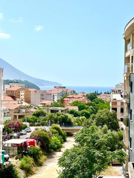 Apartment in Budva, Rozino