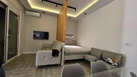 Studio with designer renovation with one bedroom in Bar