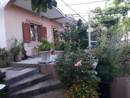 One-storey house with a large plot in Shushani, Bar