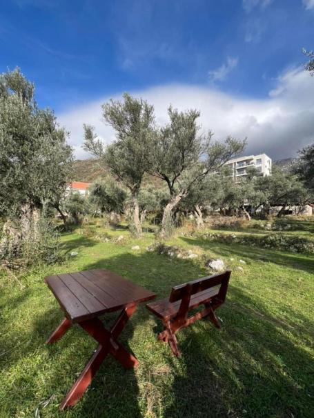 Apartment at a bargain price in Becici
