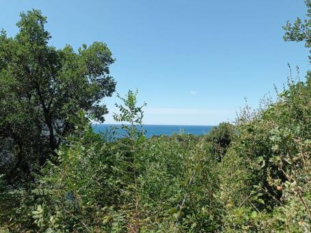 Two plots of land next to the main highway, Utekha. 