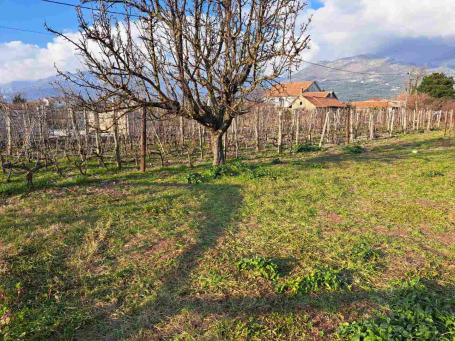Large flat plot of land in Pole, Bar Riviera. 