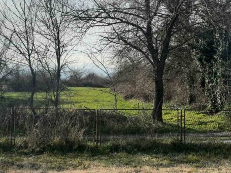 Flat plot of land in Podgorica (Berislavtsi)